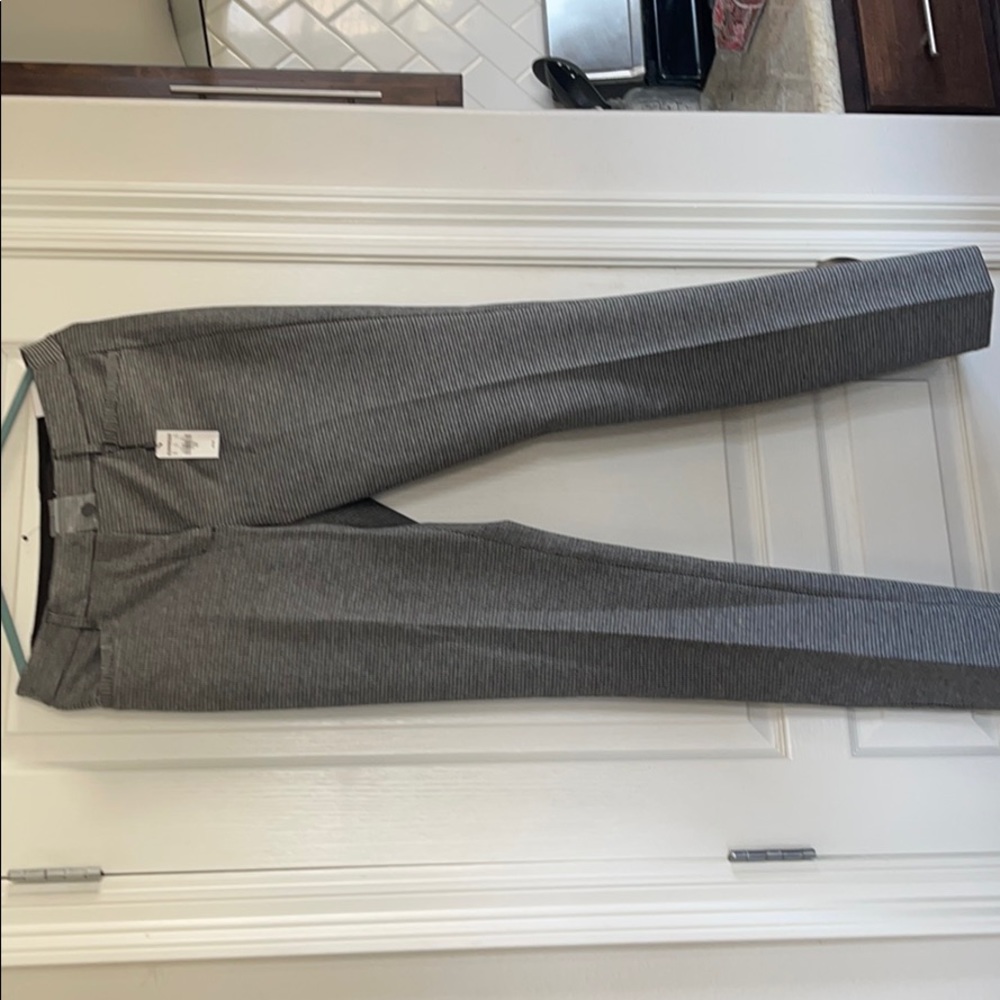 Express columnist barley boot mid rise pants